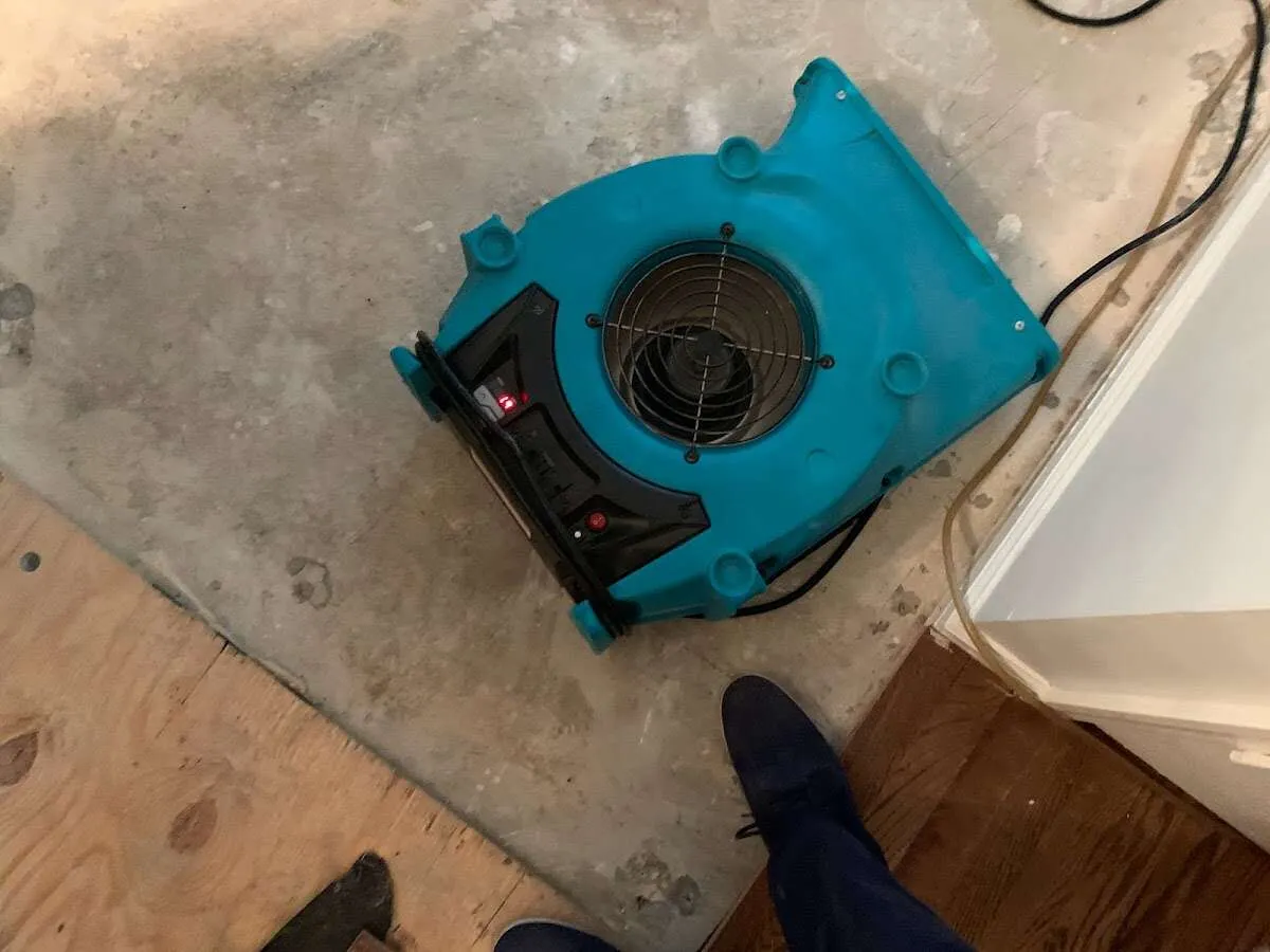 Air mover drying subfloor during Commercial Water Damage Restoration in Union Hill-Novelty Hill